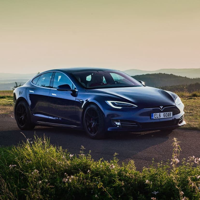 Tesla Model S Performance Raven 2021